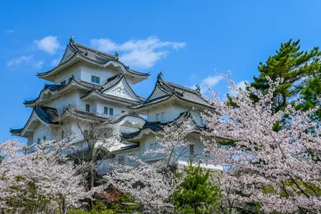 IELTS Speakingトピック「歴史」のサンプル問題やサンプルアンサーを紹介！