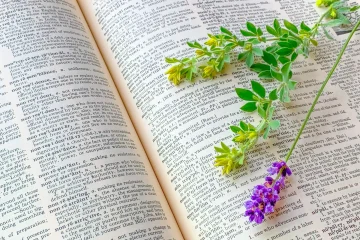 PTE AcademicとIELTSを比較！｜どちらの試験が難しいのか